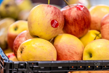 goolkids-miteinandercup-2026 Fotografie-Claus-Riegl 004